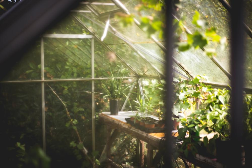 5 tegn på at din bil ikke er familievenlig